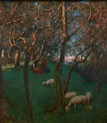 Ulivi sul Lago di Garda